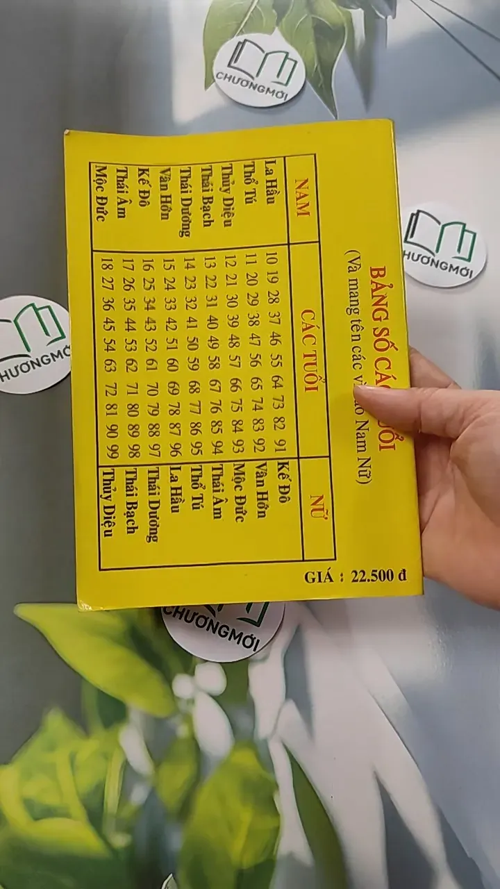 Cao Ly Đầu Hình 775958