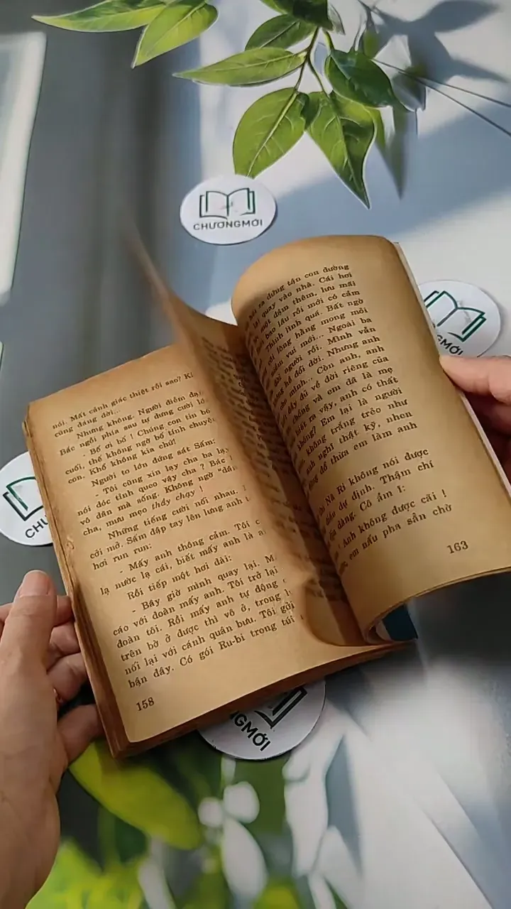 Những Người Đi Và Hai Người Ở Lại - Đinh Quang Nhã 713810