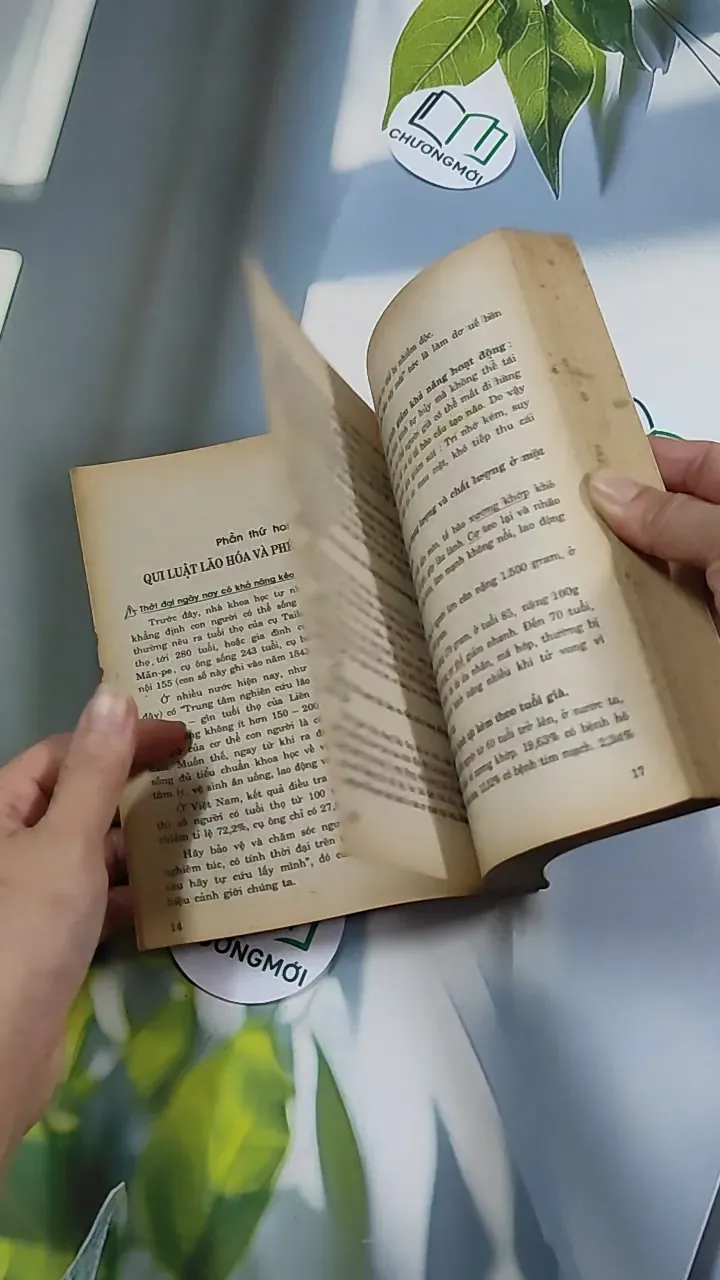 [XƯA] 6 Bí Quyết Dưỡng Sinh Người Có Tuổi (1994) 776147