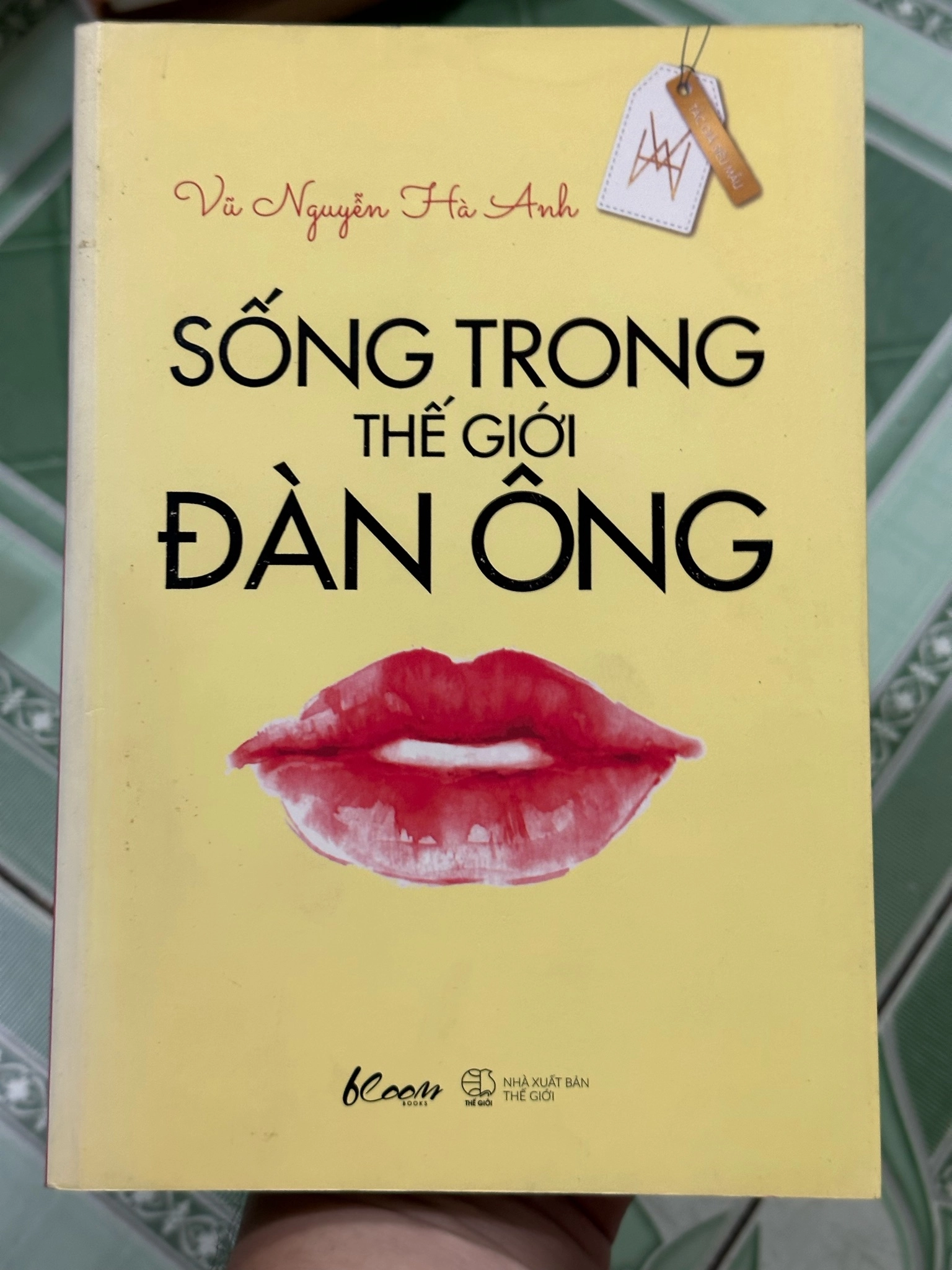 Sống trong thế giới đàn ông - Vũ Nguyễn Hà Anh by Vũ Nguyễn Hà Anh - Sách Book Cover - Ngọc Hiển Books