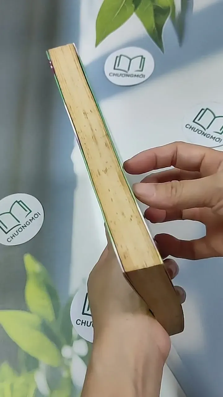 24 cung bậc trái tim 698564