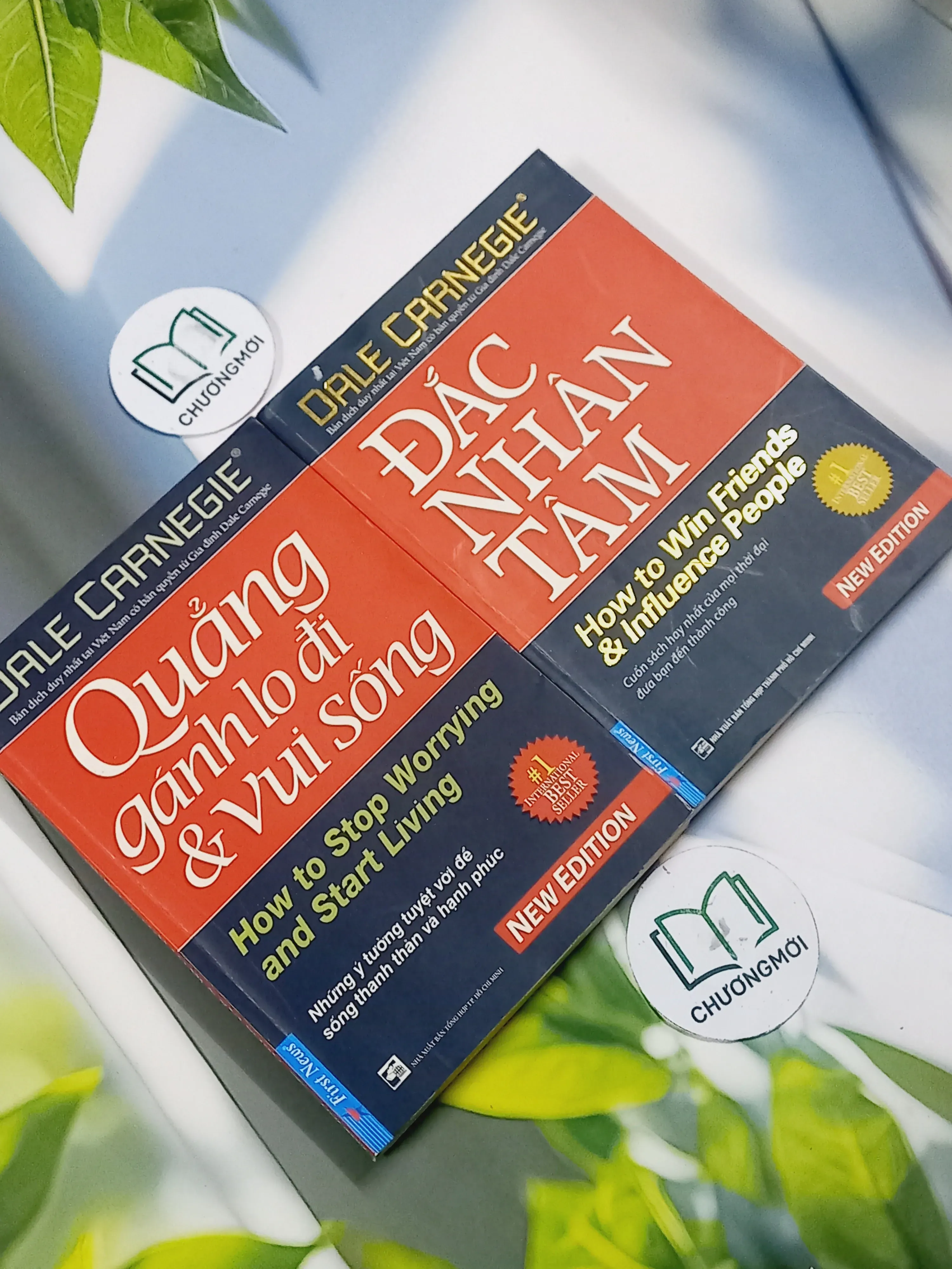 Combo: Quẳng Gánh Lo Đi & Vui Sống - Đắc Nhân Tâm - Dale Carnegie