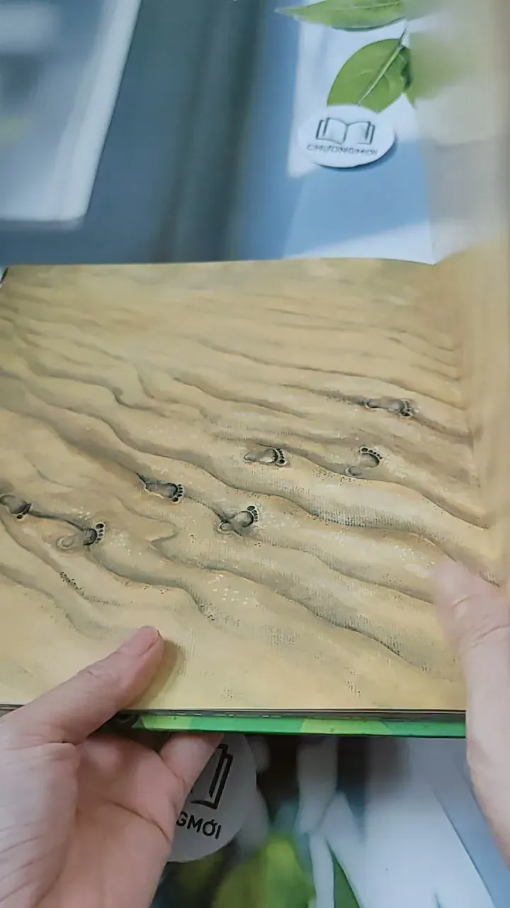 [Tặng nẹp góc] Truyện thiếu nhi Hàn Quốc: Moyamo Anu 24 -  모야모 아누와: 불행을 찾아간 원숭이;. 지혜의 열쇠 732017