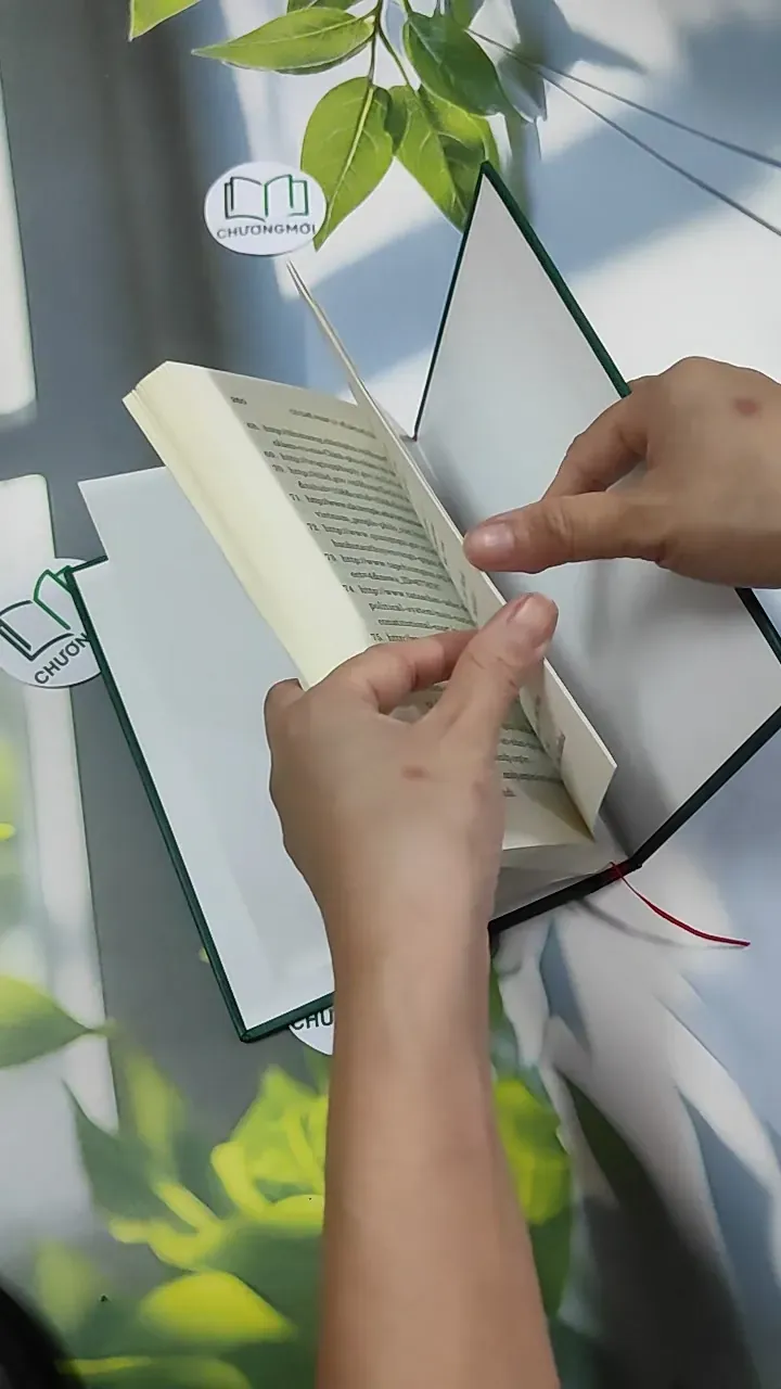 [MIỄN PHÍ BỌC SÁCH] Cơ Chế Pháp Lý Về Bảo Hộ Công Dân Ở Việt Nam - Phan Thanh Hà 750821