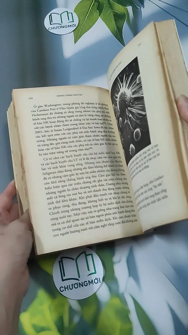 Phòng Chống Ung Thư - David Servan-Schreiber 780887