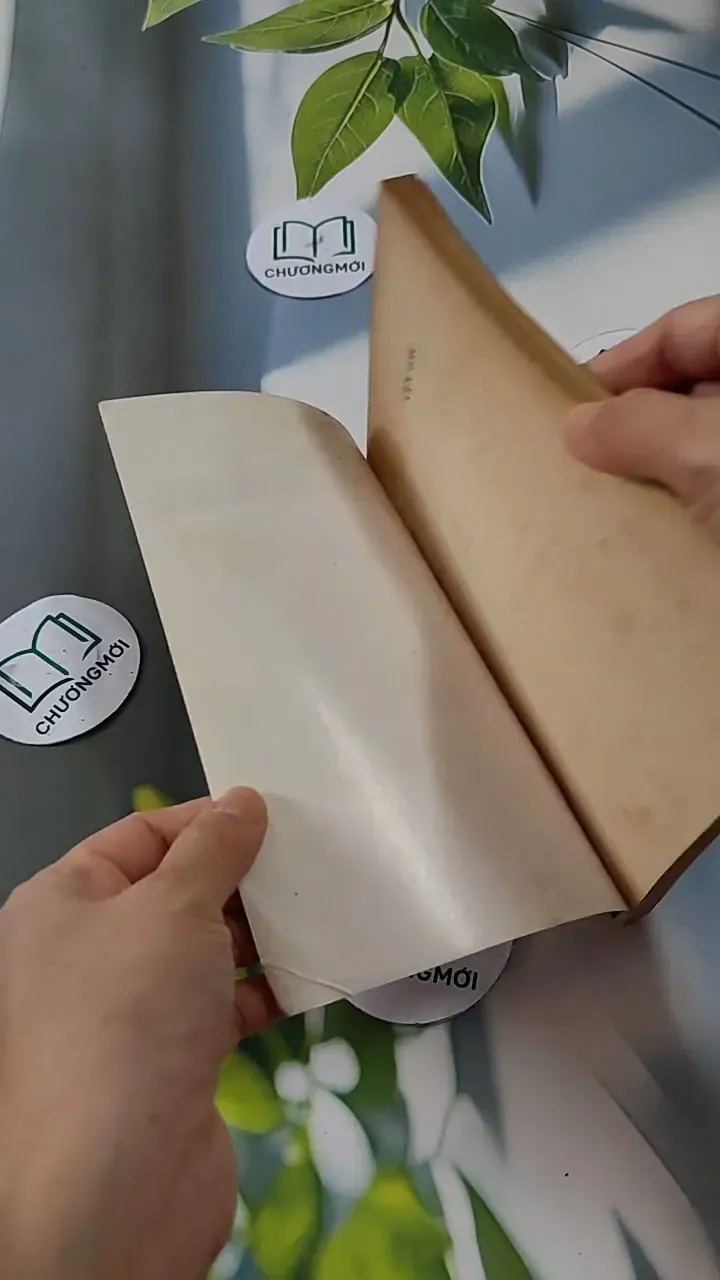 Cực Lạc - Cao Duy Sơn 713826