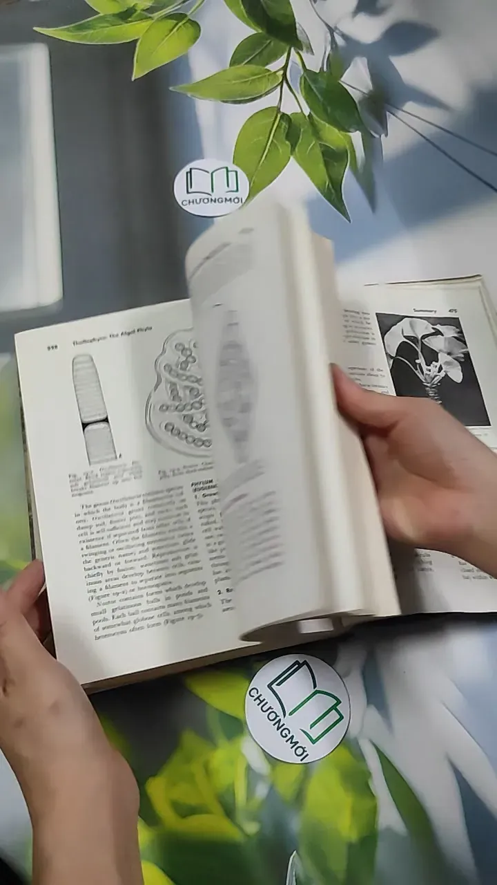 [MIỄN PHÍ BỌC SÁCH] The Plant World - Harry J. Fuller 750801