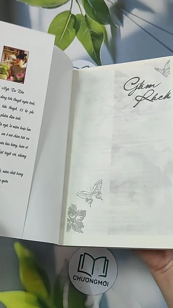 Gấm rách - Phỉ Ngã Tư Tồn 688659