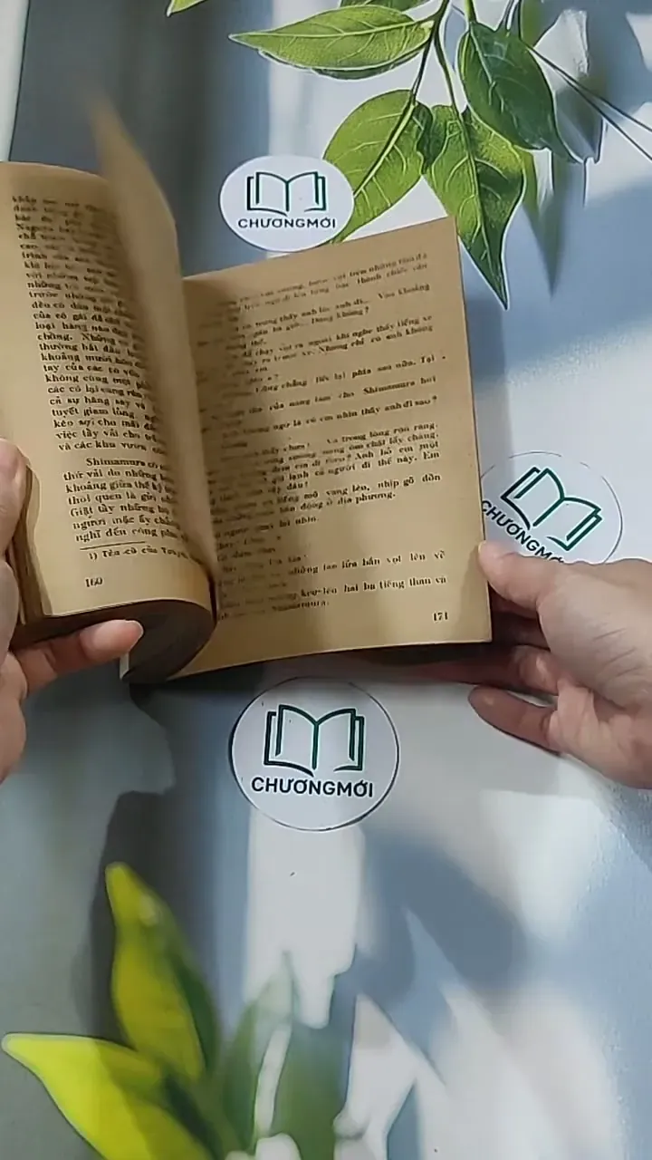 [MIỄN PHÍ BỌC SÁCH] Vùng Băng Tuyết (1988) - Y Kawabata 674973