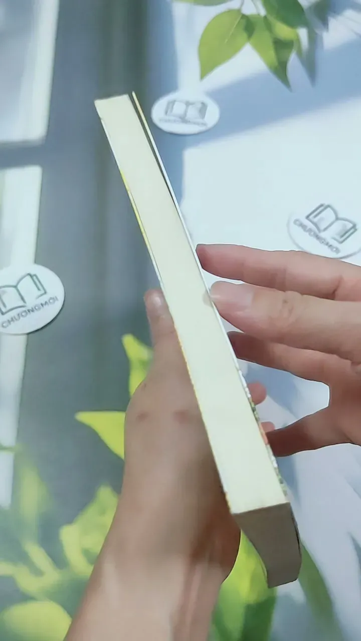 Bến Xe - Thương Thái Vi 744709