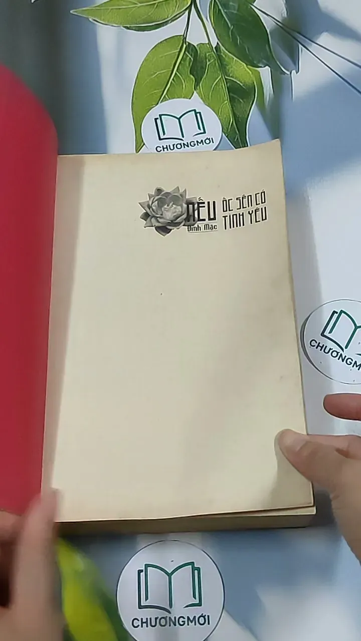 Nếu ốc sên có tình yêu - Đinh Mặc 688711