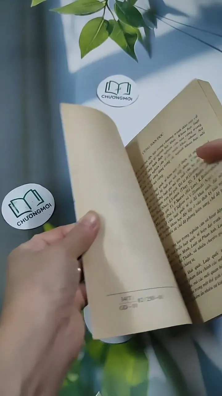 Luật Quốc Tế  Lý Luận Và Thực Tiễn - Trần Văn Thắng 707260