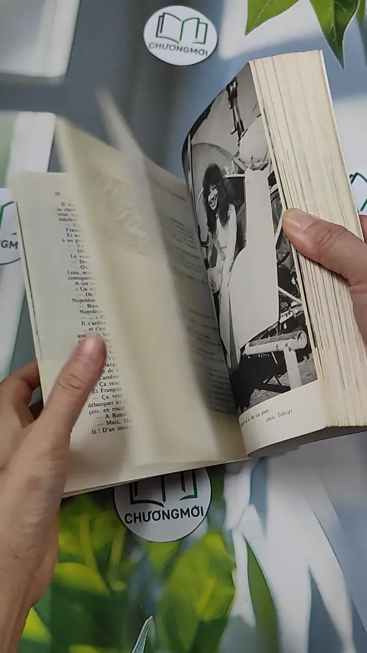 [MIỄN PHÍ BỌC SÁCH] [XƯA] La Demoiselle d'Avignon (1982) - Frédérique Hébrard & Louis Velle 754526