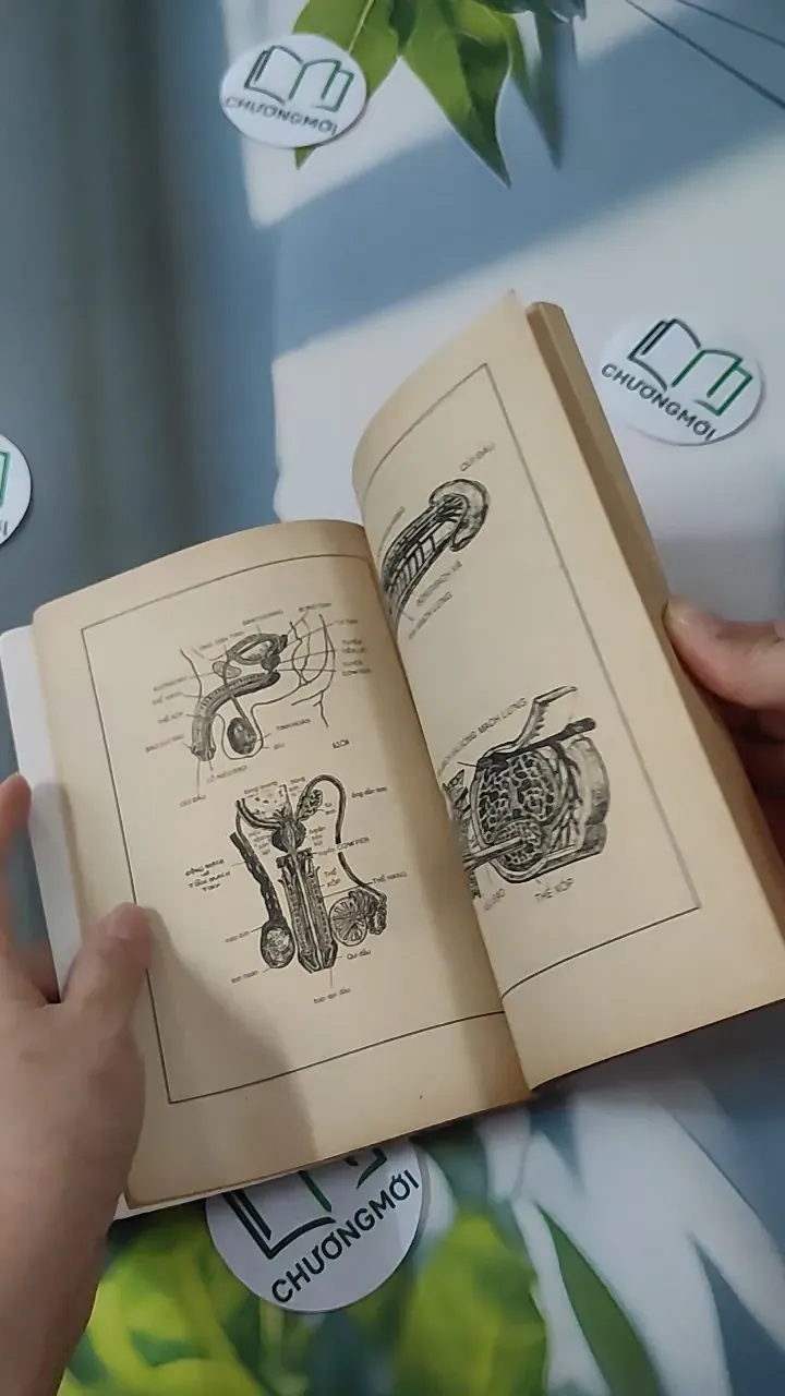 [XƯA] Thắc Mắc Biết Hỏi Ai (1993) - Bác Sĩ Trần Bồng Sơn 780819