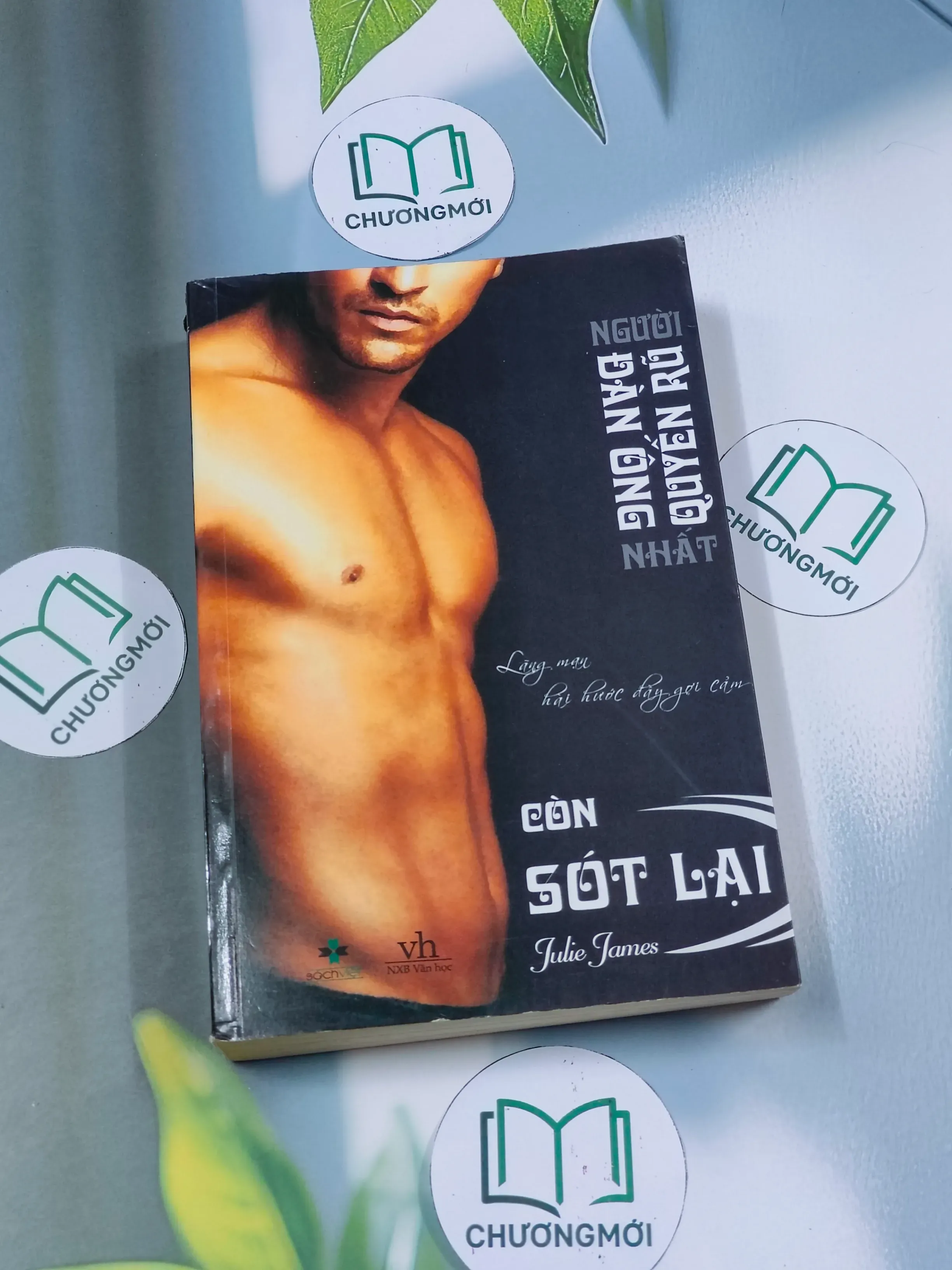 Đàn ông quyến rũ còn sót lại - Julie James