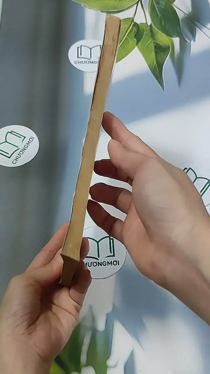 Thế Thứ Các Triều Vua Việt Nam (2006) - Nguyễn Khắc Thuần 674970