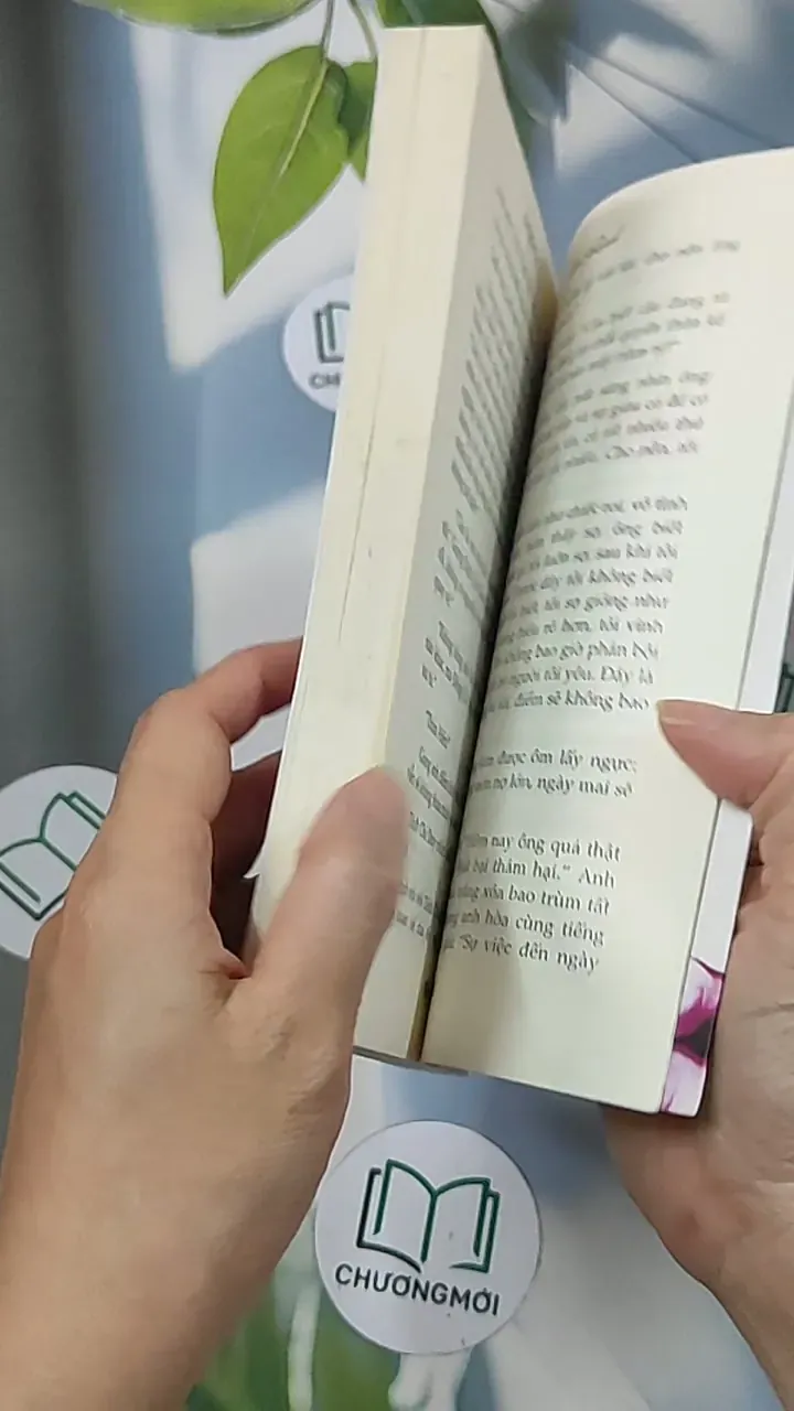 Gấm rách - Phỉ Ngã Tư Tồn 688659