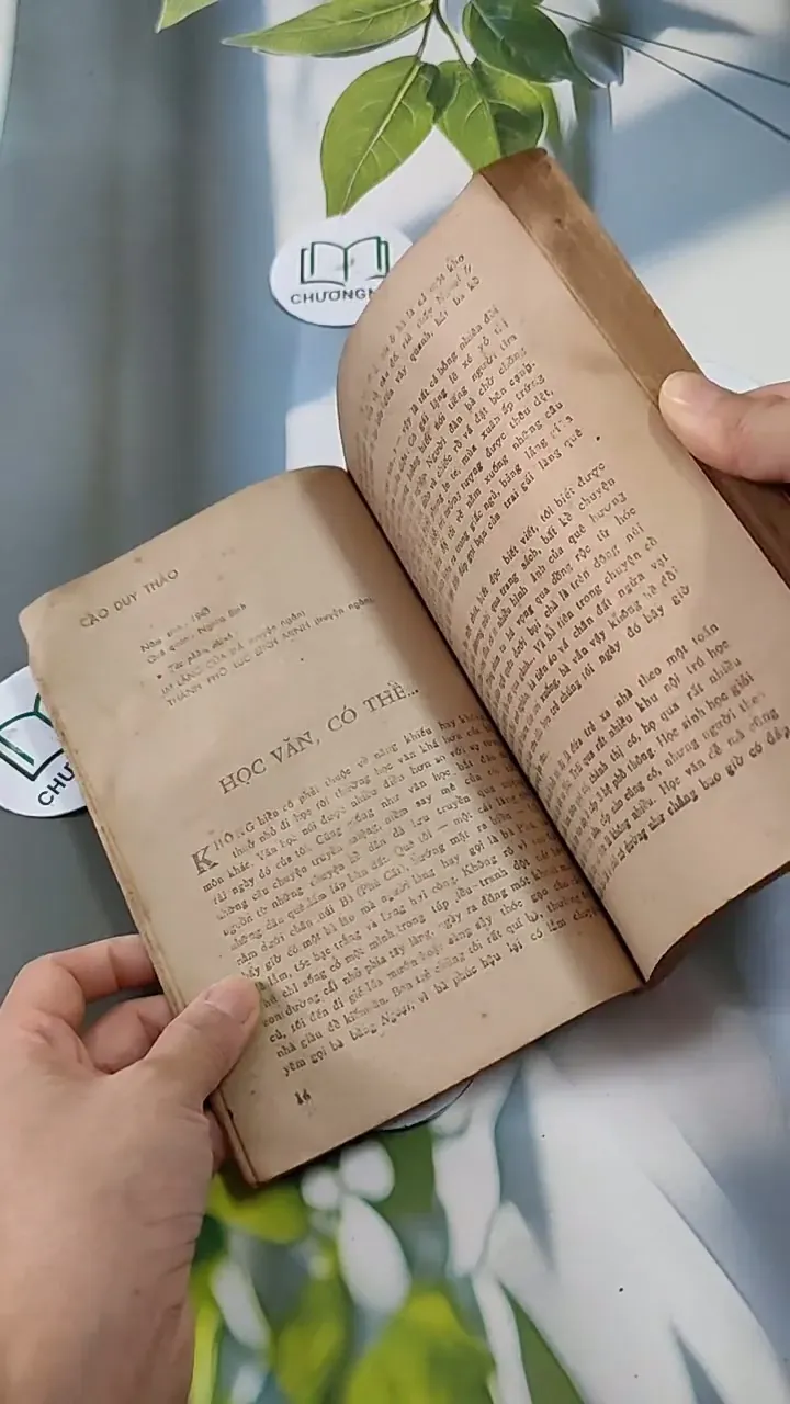 Hồi Nhỏ Các Nhà Văn Học Văn 713828