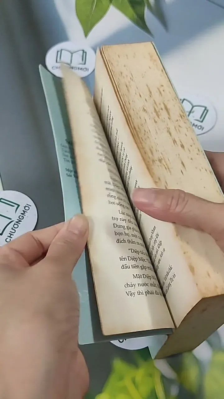 Ai Còn Chờ Ai Giữa Mùa Hoa Nở - Sói Xám Mọc Cánh 705627