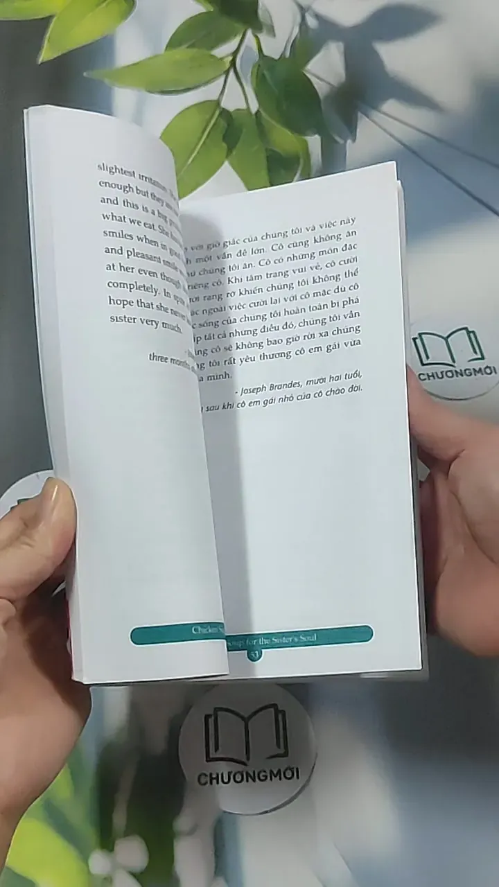 Chicken Soup for the Sister's Soul: Điểm tựa yêu thương - Song ngữ - Jack Canfield 688550