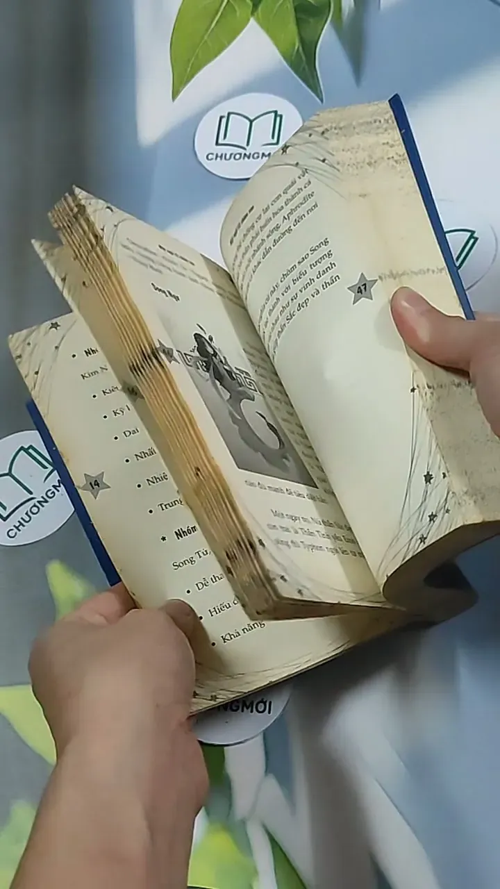 Mật ngữ 12 chòm sao - Không biết 698594