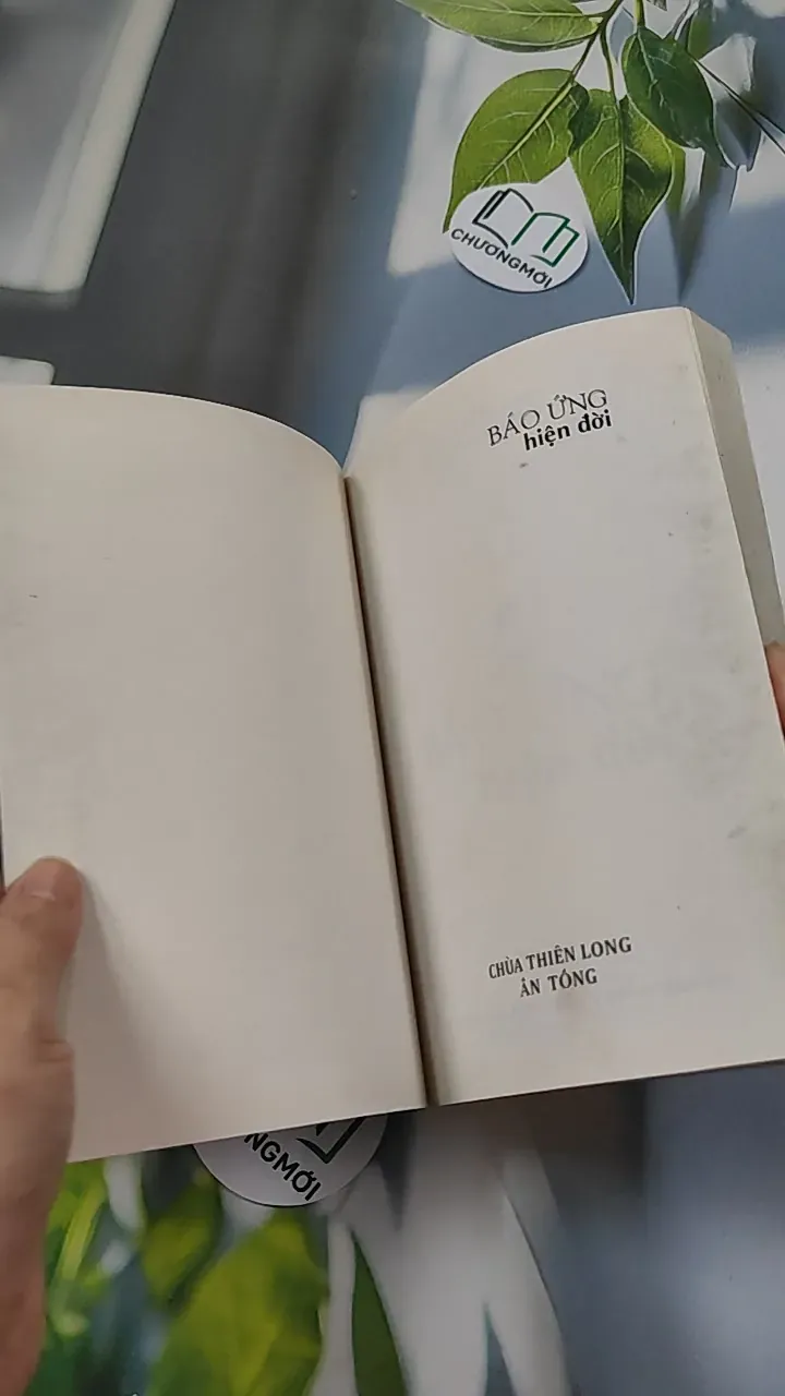 Báo Ứng Hiện Đời - Hạnh Đoan 776114