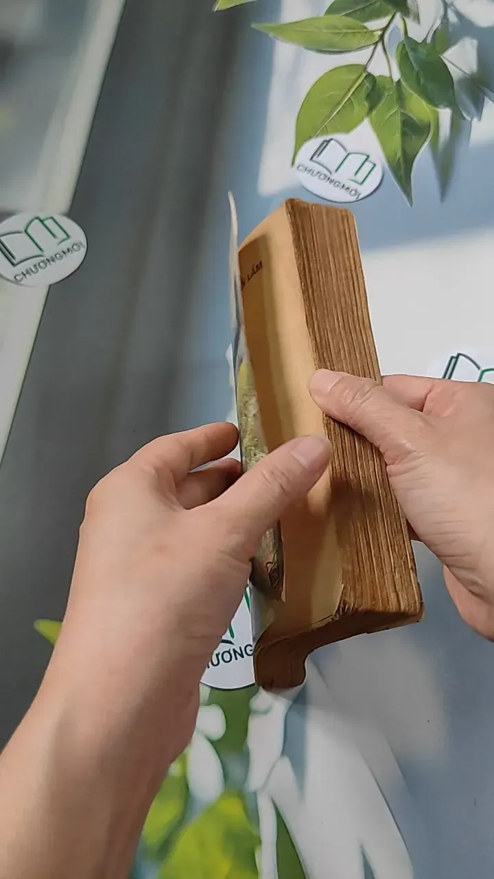 [XƯA] Lỗi Lầm (1991) - Đỗ Thị Thanh Vân 776065