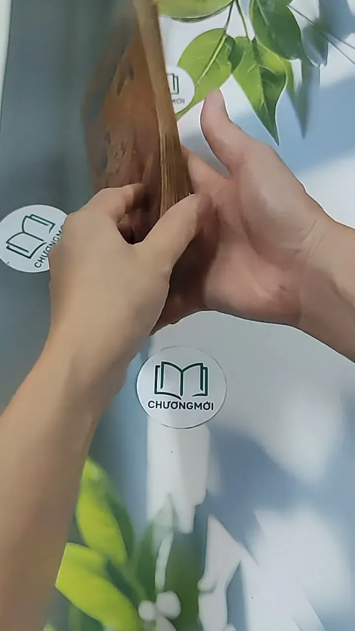 Tuổi Xanh Nguyễn Đình Chiểu (1987) - Thái Vũ 674974