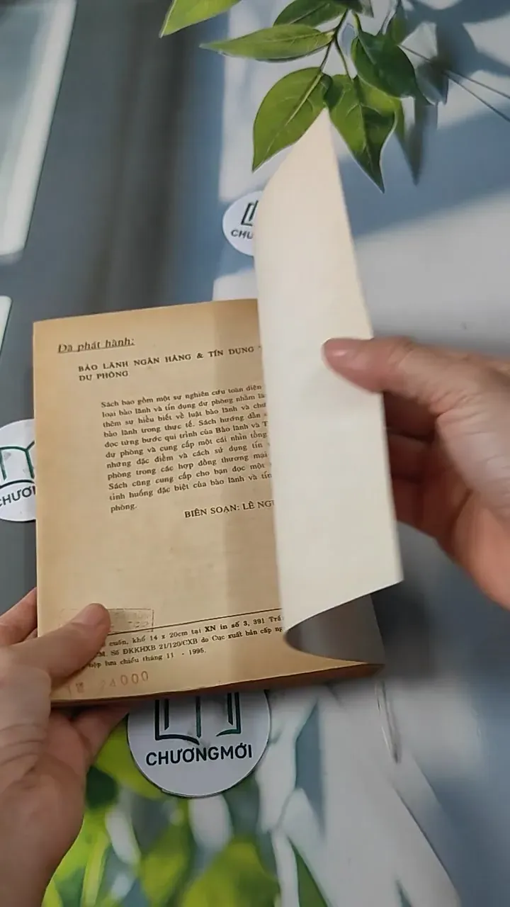 Những Tình Huống Đặc Biệt Trong Thanh Toán Quốc Tế - Nguyễn Ninh Kiều 727245