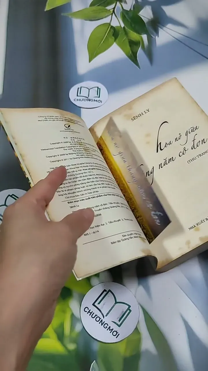 Hoa Nở Giữa Tháng Năm Cô Đơn - Sênh Lý 705743