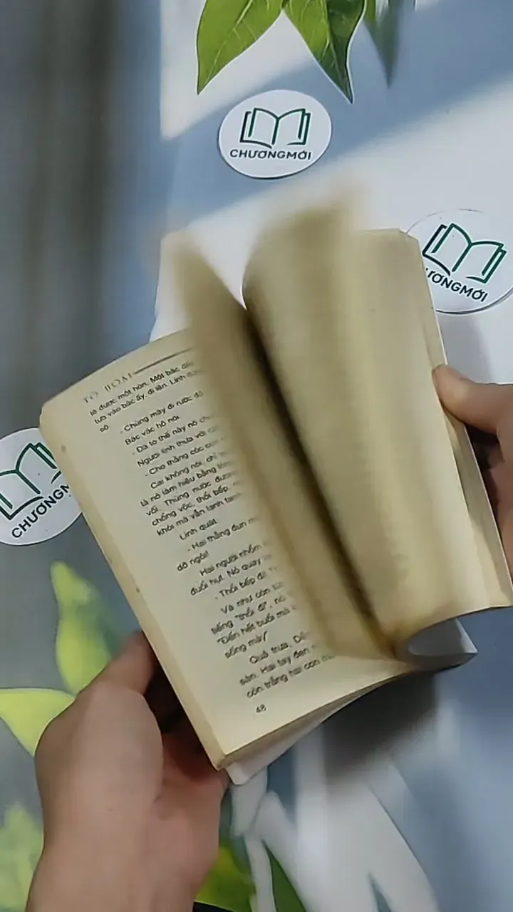 Kim Đồng - Tô Hoài 698638