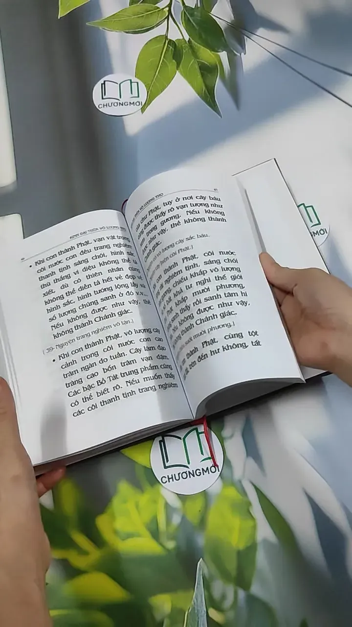 Đại Thừa Vô Lượng Thọ Trang Nghiêm Thanh Tịnh Bình Đẳng Giác Kinh - HT. Thích Đức Niệm 750812