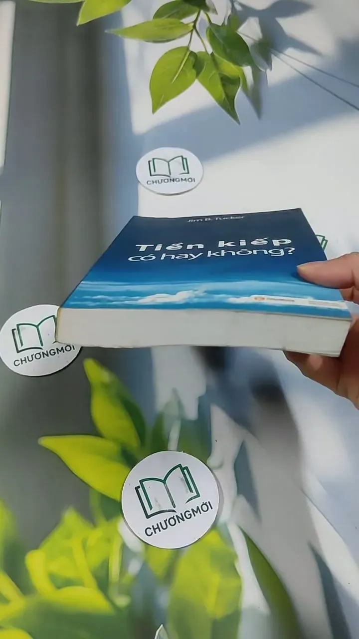 Tiền Kiếp - Có Hay Không? 705673