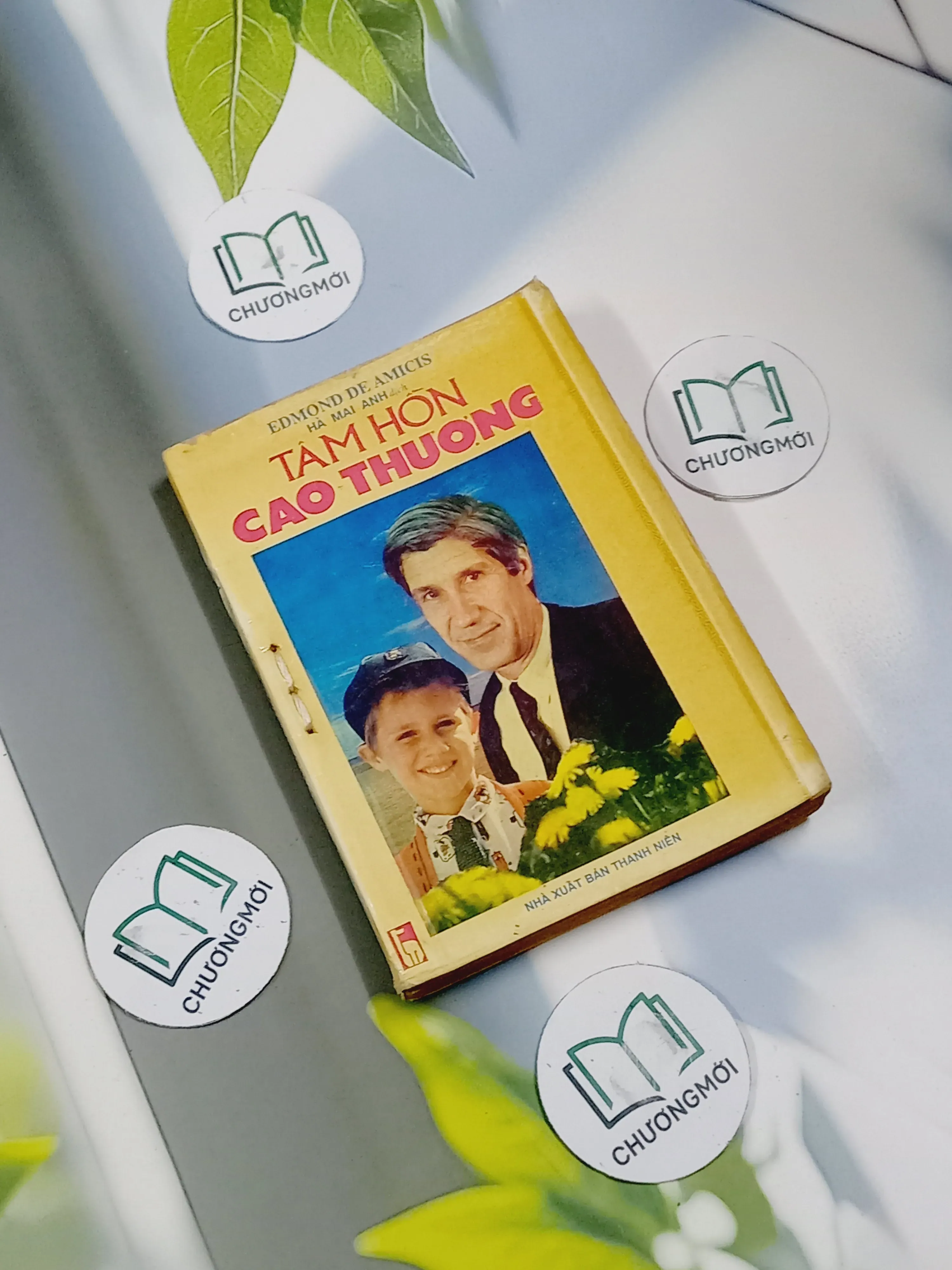 Tâm Hồn Cao Thượng (1989)