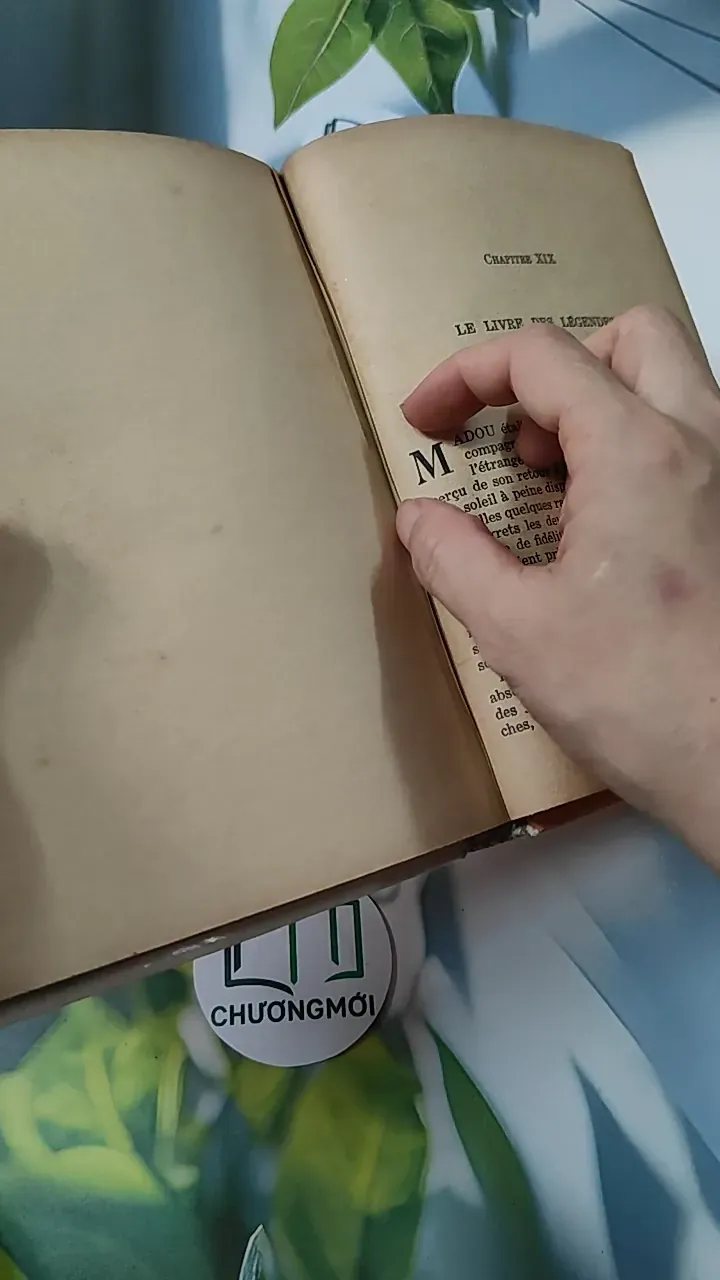 [MIỄN PHÍ BỌC SÁCH] En mission chez les bêtes - Pâquerette de Quénetain 749582