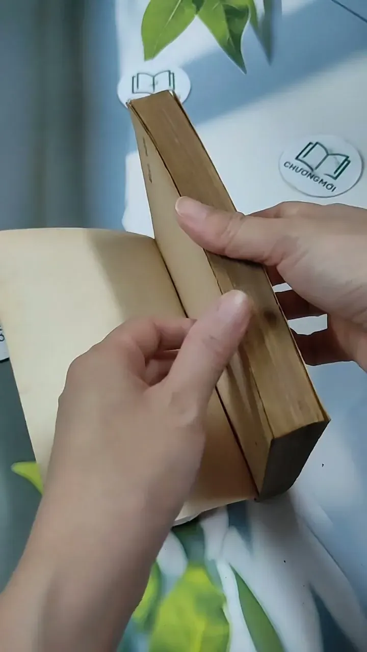 Mười Năm - tập văn chọn lọc 713848