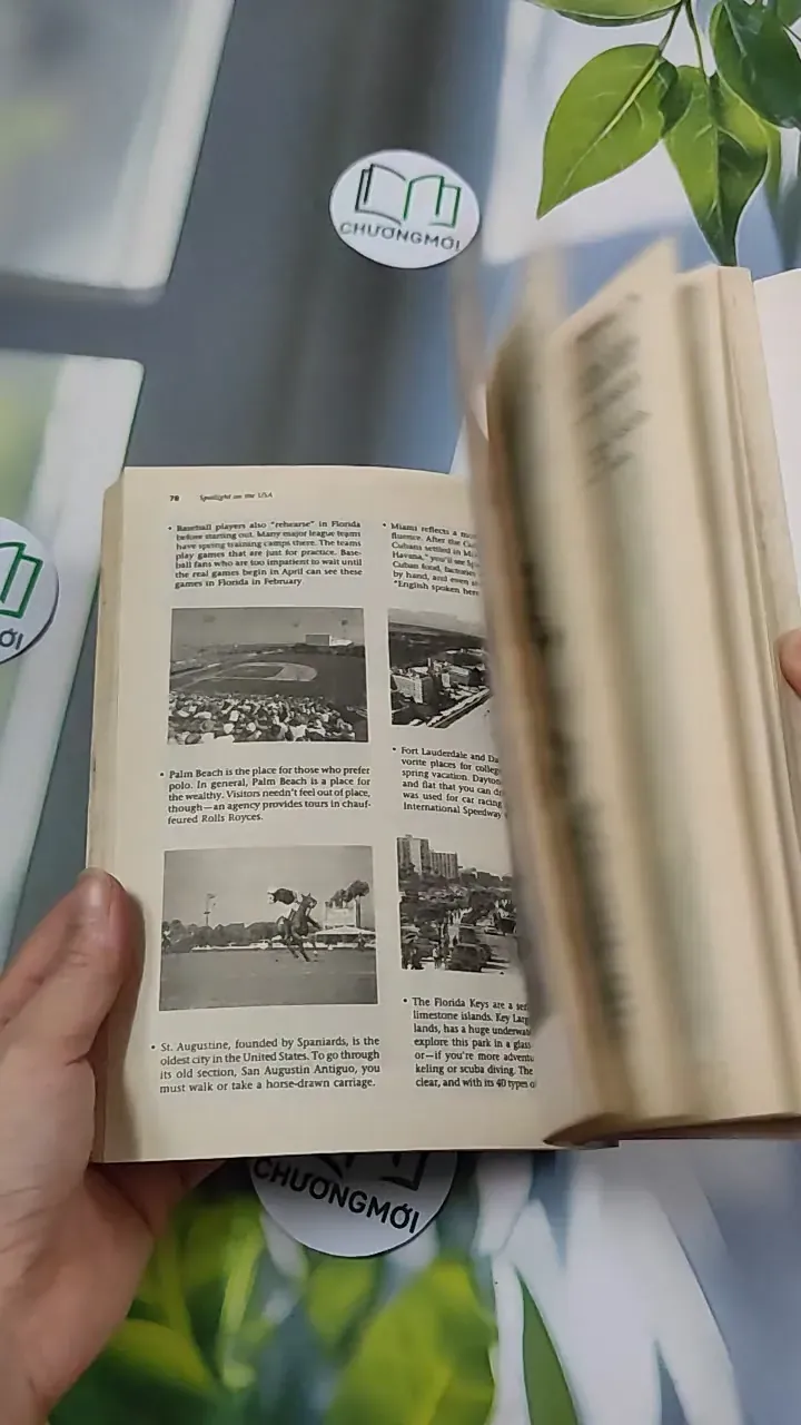 Spotlight on the USA - Randee Falk 754540