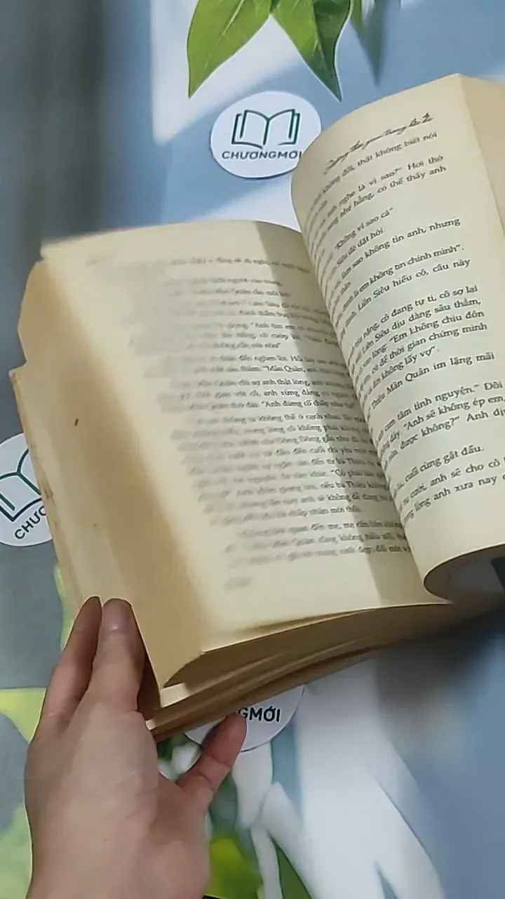 Quãng thời gian trong hồi ức - Diệp Tử 698605