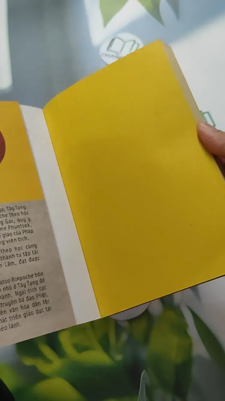 Chớ Vội Vã Dù Dòng Đời Xô Ngã - Gyatso Rinpoche 787041