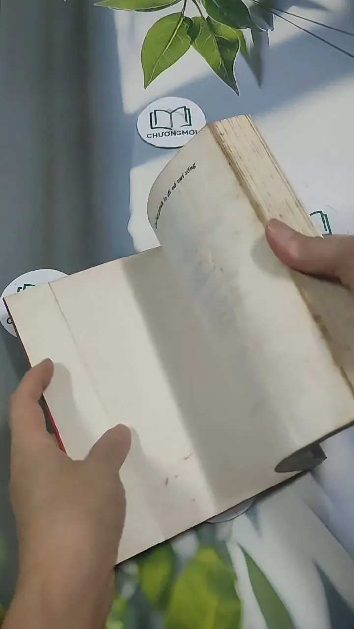 Quẳng Gánh Lo Đi Và Vui Sống 715597