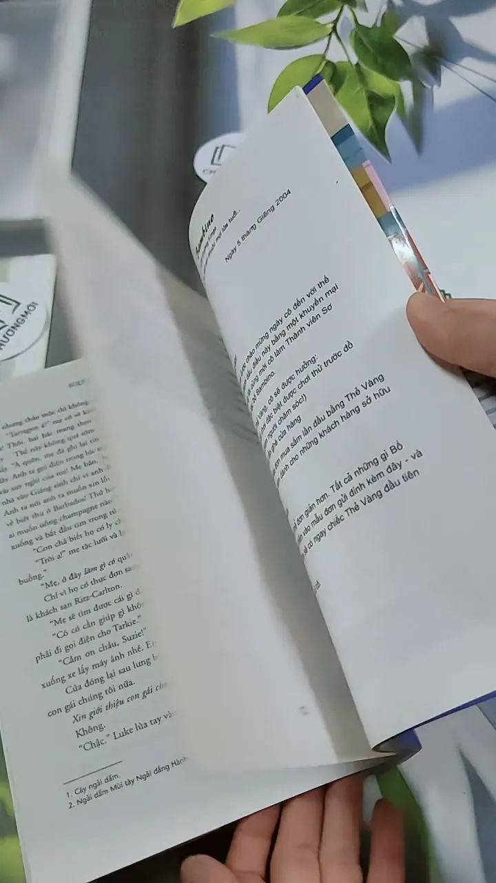 Tín Đồ Shopping Có Baby - Sophie Kinsella 744778