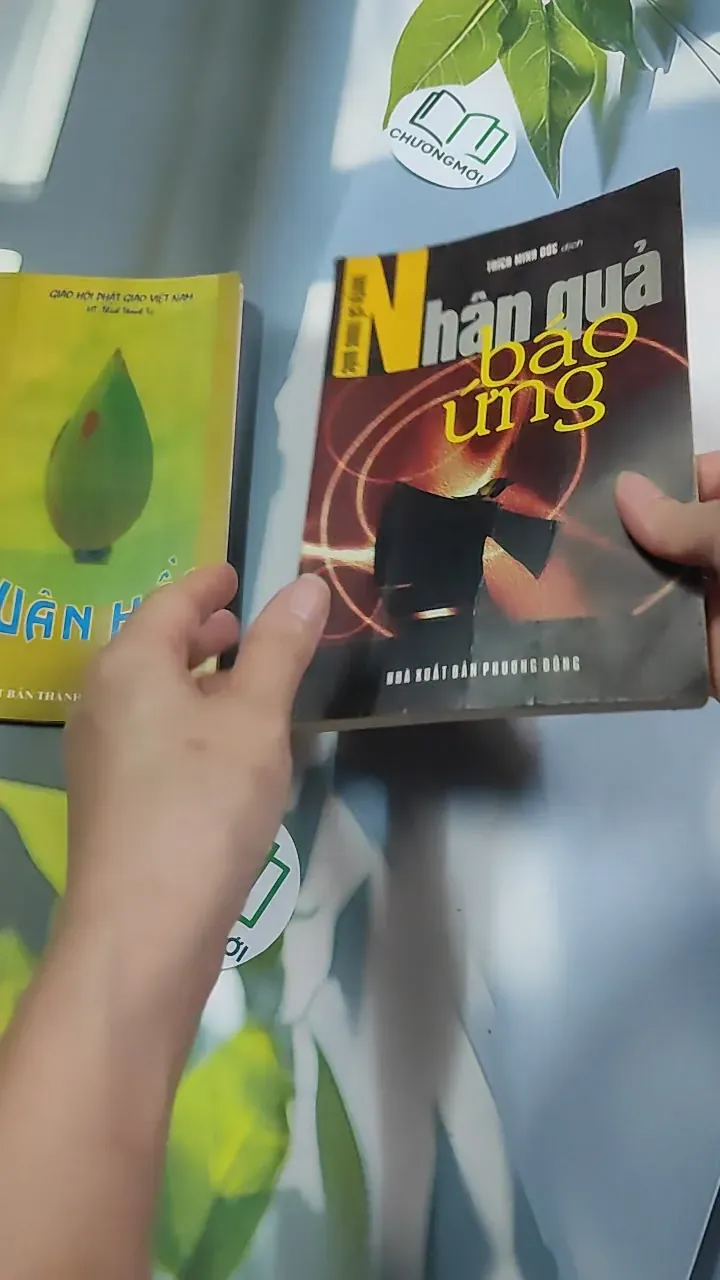 Combo: Nhân Quả Báo Ứng, Luân Hồi 776166