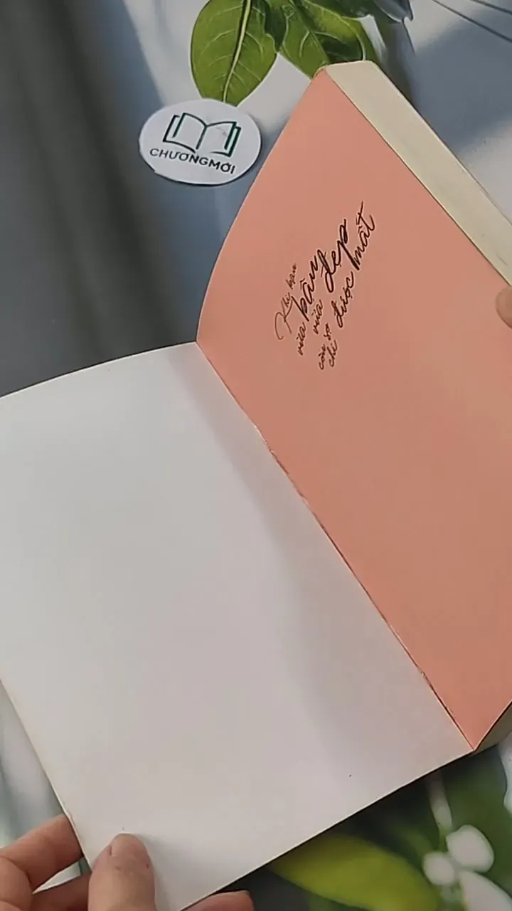 Khi Bạn Bận Vừa Xinh Đẹp, Còn Sợ Chi Được Mất - Lương Sảng 705609