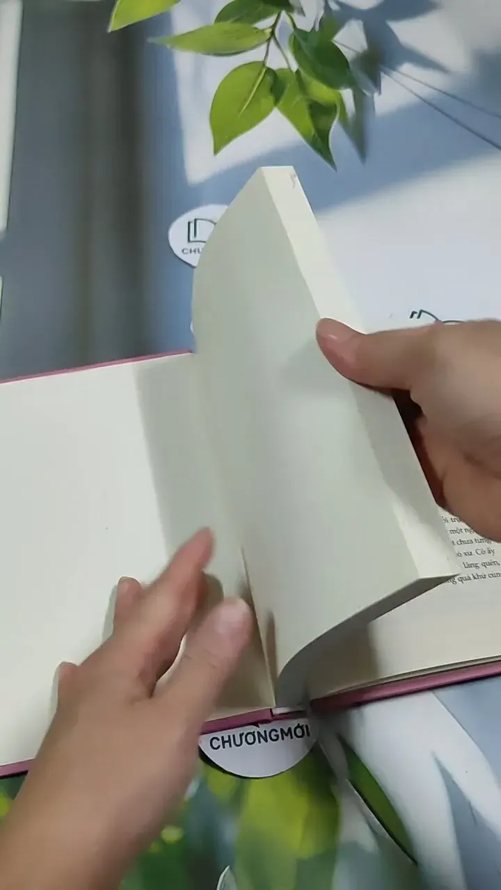 Phẩm Giá Quý Cô - Sheryl Shade 705712