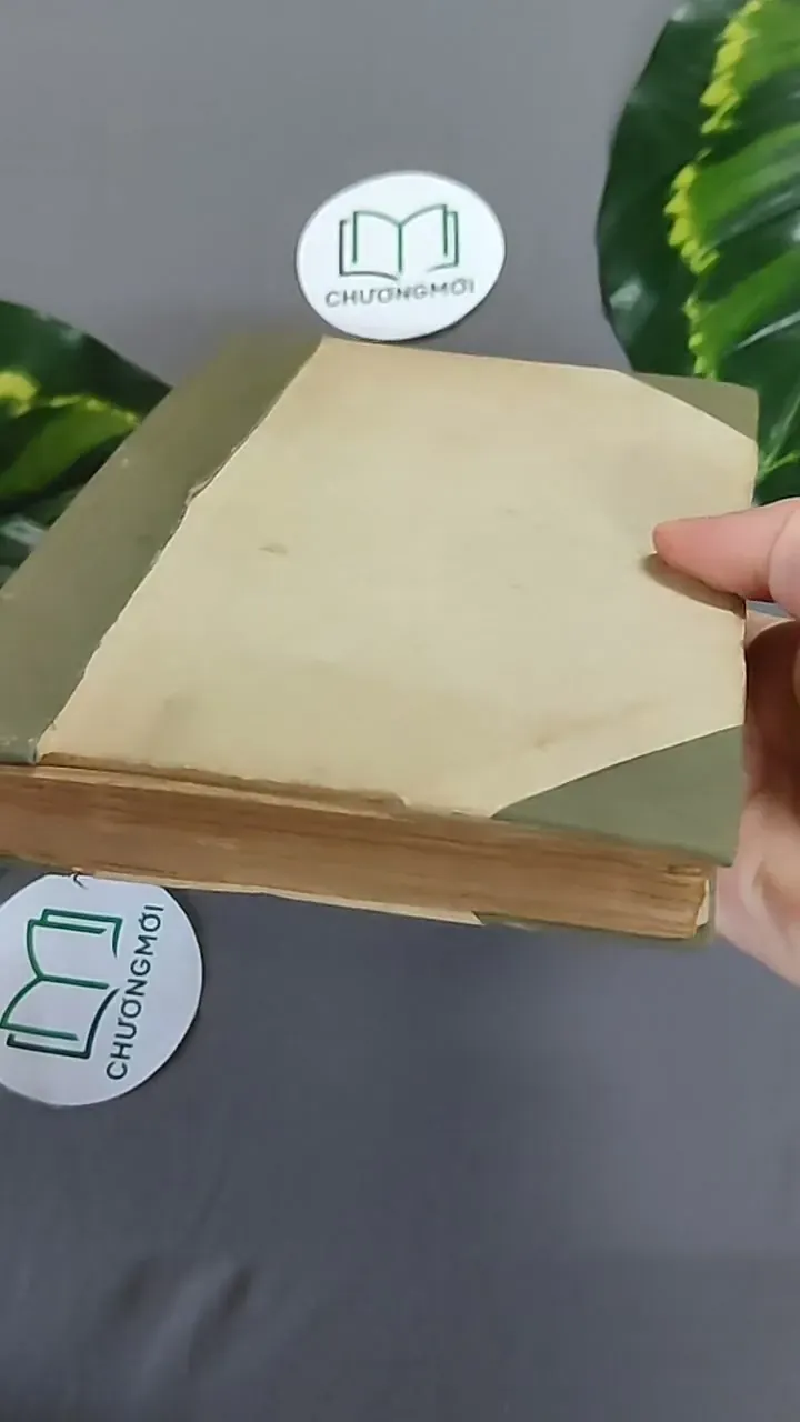 Trà Hoa Nữ 604659