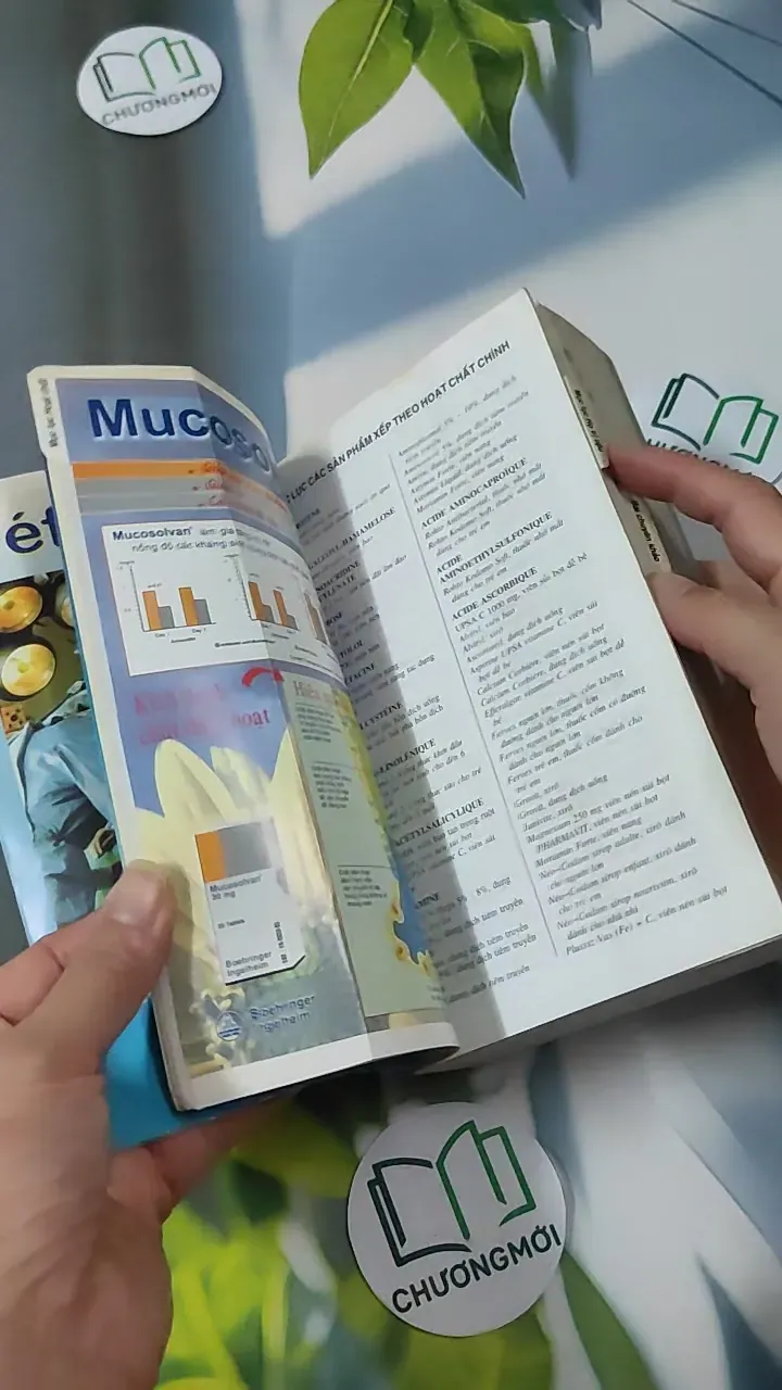 [MIỄN PHÍ BỌC SÁCH] [XƯA] Vidal Giúp Trí Nhớ 1999 (1999) 780901