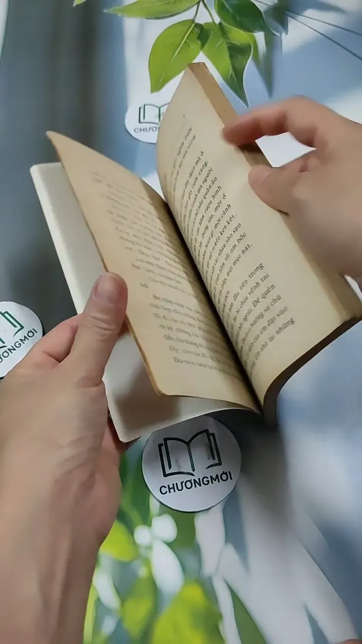 Lửa Hồng - Rolande Cause 713851