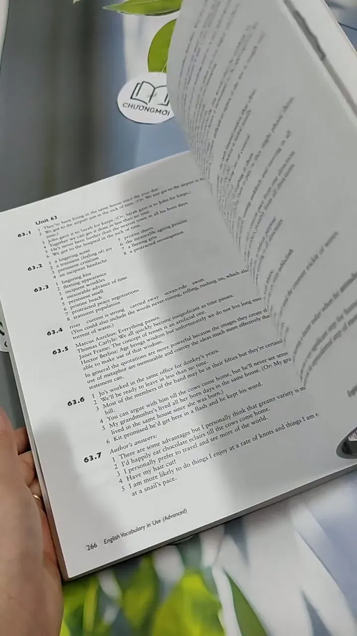 English Vocabulary In Use 713917