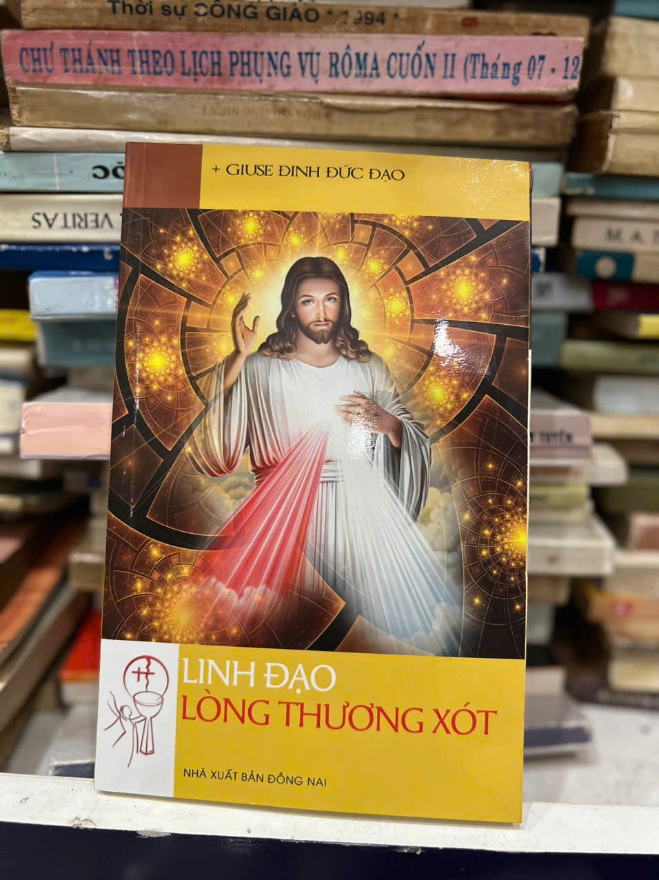 Linh đạo lòng thương xót by Gm. Giuse Đinh Đức Đạo - Sách Book Cover - Ngọc Hiển Books