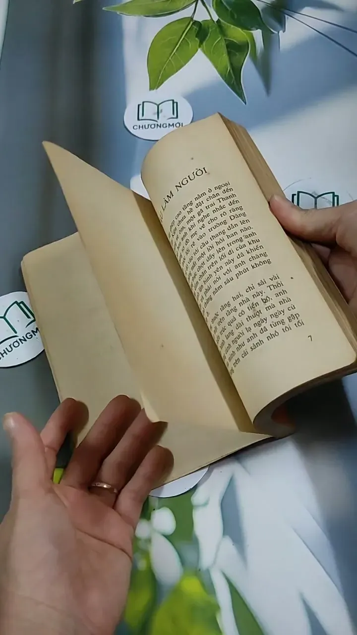 Người Đàn Bà Tuổi Bính Thân - Phạm Thị Minh Thư 713893